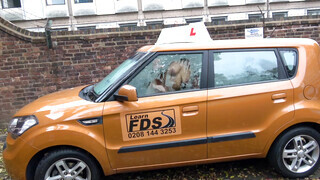 Fake Driving School - Louise Lee imádja a gigászi rúdat