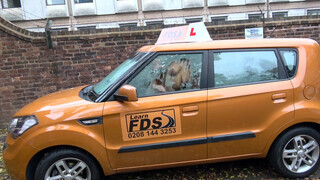 Fake Driving School rá spriccelek a termetes barna faszodra