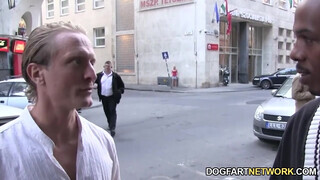 Nesty a cafka magyar maca