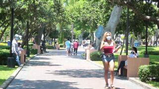 Bájos termetes kannás venezuelai maca